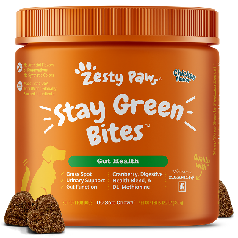 Zesty Paws Dog Stay Green Bites Gut Health Chicken 90soft chews