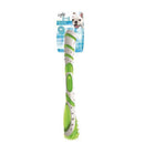 All For Paws Dog Dental Chews Big Futuristick Green
