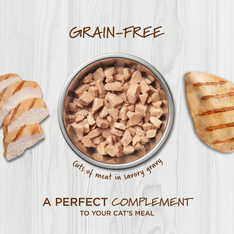 Instinct The Raw Brand Cat Pouch Healthy Cravings Grain-Free Real Chicken 3oz