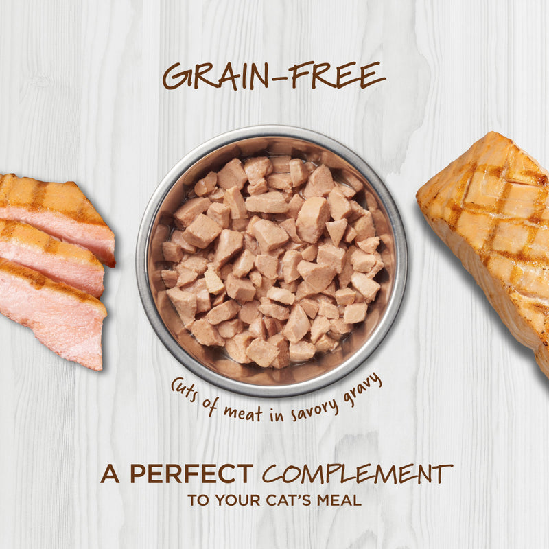 Instinct The Raw Brand Cat Pouch Healthy Cravings Grain-Free Real Salmon 3oz