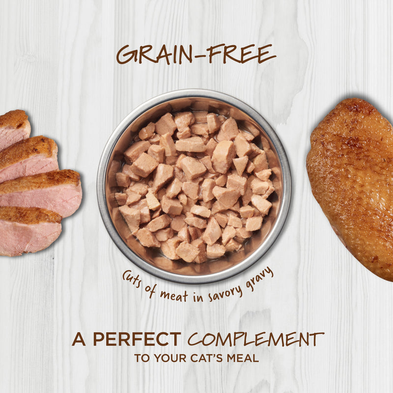 Instinct The Raw Brand Cat Pouch Healthy Cravings Grain-Free Real Duck 3oz