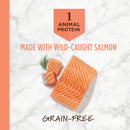 Instinct The Raw Brand Cat Limited Ingredient Diet Grain-Free Recipe with Real Salmon 4.5lb