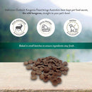 Addiction Dog Grain-Free Wild Kangaroo & Apples 4lb
