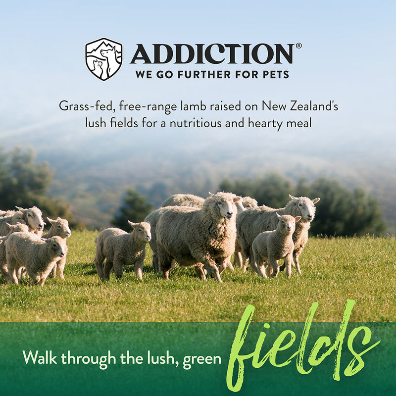 Addiction Dog Le Lamb 20lb