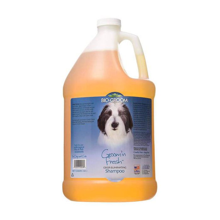 Bio-Groom Groom 'n Fresh Odor Eliminating Shampoo for Dogs 1G