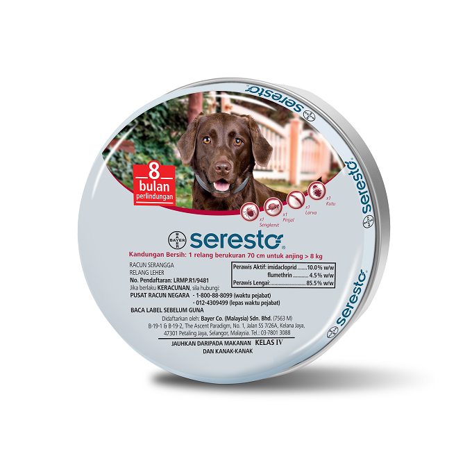 Bayer Seresto Flea & Tick Collar for Dogs >8kg 70cm