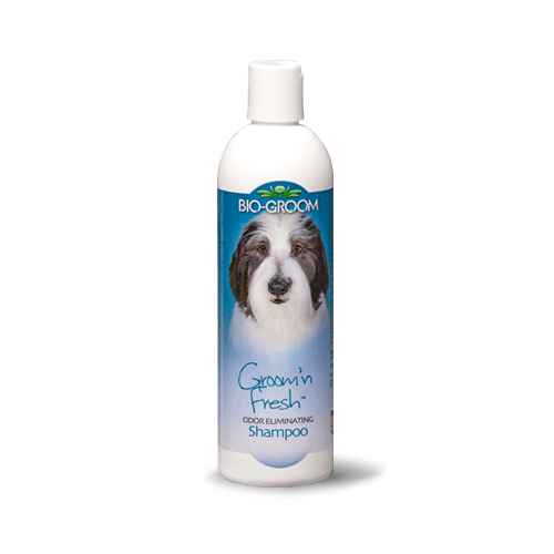 Bio-Groom Groom 'n Fresh Odor Eliminating Shampoo for Dogs 12oz