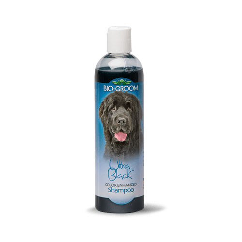 Bio groom black shampoo clearance