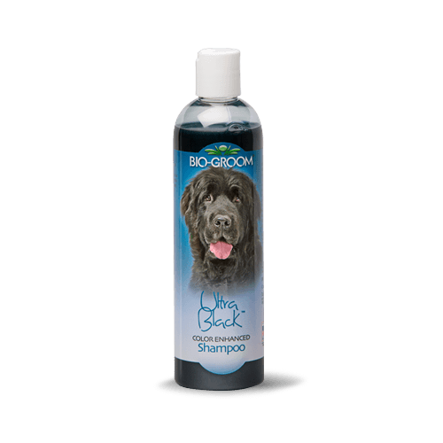 Bio-Groom Ultra Black Shampoo for Dogs 12oz