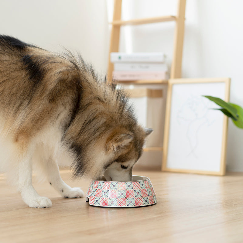 Ohpopdog Non-Slip Bowl Bibik Pink 14 L