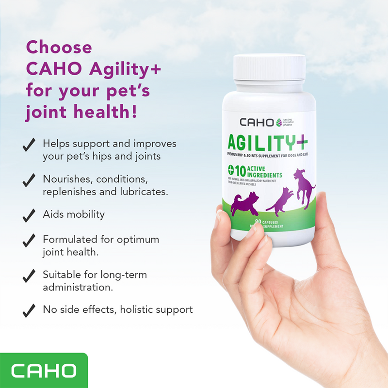 Caho Agility+ Premium Hip & Joint Supplement for Dogs & Cats 90caps