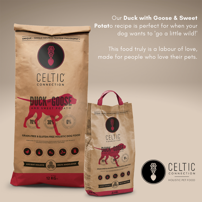 Celtic Connection Dog Duck with Goose & Sweet Potato 12kg