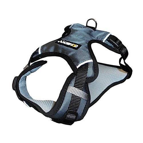 Coneck't Sport Harness Grey S