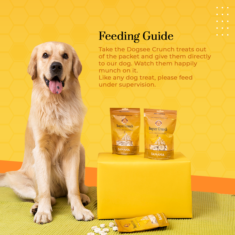 Dogsee Dog Crunch Single-Ingredient Training Treat Freeze-Dried Banana 15g