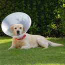 Ohmypet PP Transparent E-Collar Size 2 - D35cm