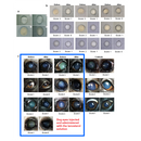 Lanomax Cataract-Dissolving Lanosteral Eye Drops for Pets & Animals 10ml