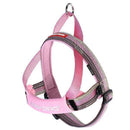 EzyDog Quick Fit Harness Candy XXS