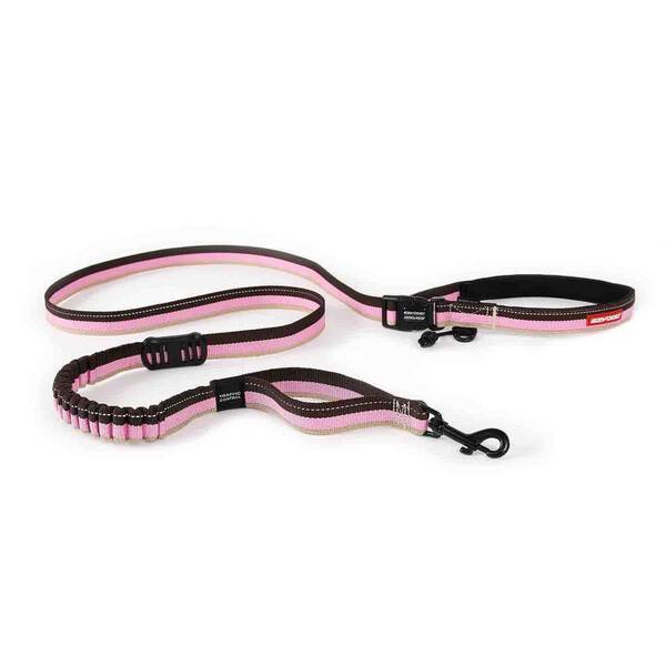 EzyDog Road Runner Leash Candy