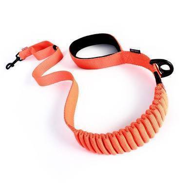 EzyDog Zero Shock Leash 48" Orange