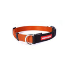 EzyDog Checkmate Training Collar Orange Small
