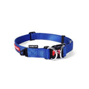 EzyDog Double Up Collar Blue Large