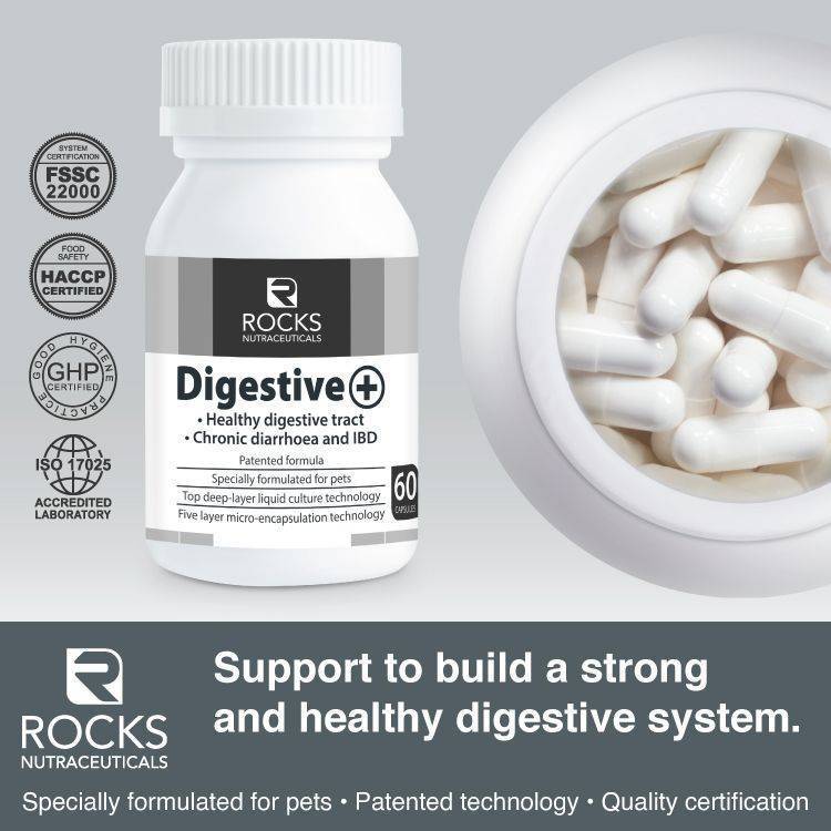 *CHILLED* Rocks Nutraceuticals Digestive+ 60caps