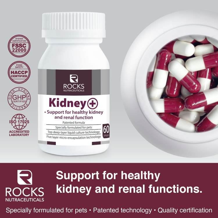 *CHILLED* Rocks Nutraceuticals Kidney+ 60caps