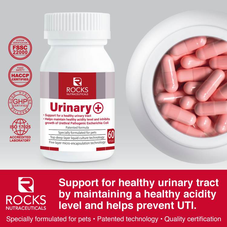 *CHILLED* Rocks Nutraceuticals Urinary+ 60caps