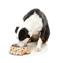 Fuzzyard Pet Bowl Melamine Ink'd Up S