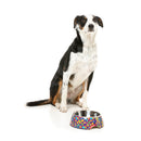 Fuzzyard Pet Bowl Melamine Highscore S