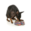 Fuzzyard Pet Bowl Melamine Highscore M