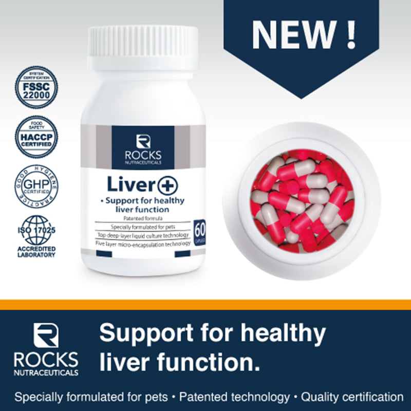 *CHILLED* Rocks Nutraceuticals Liver+ 60caps