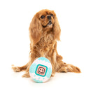 FuzzYard Dog Plush Toy - Tamadogchi