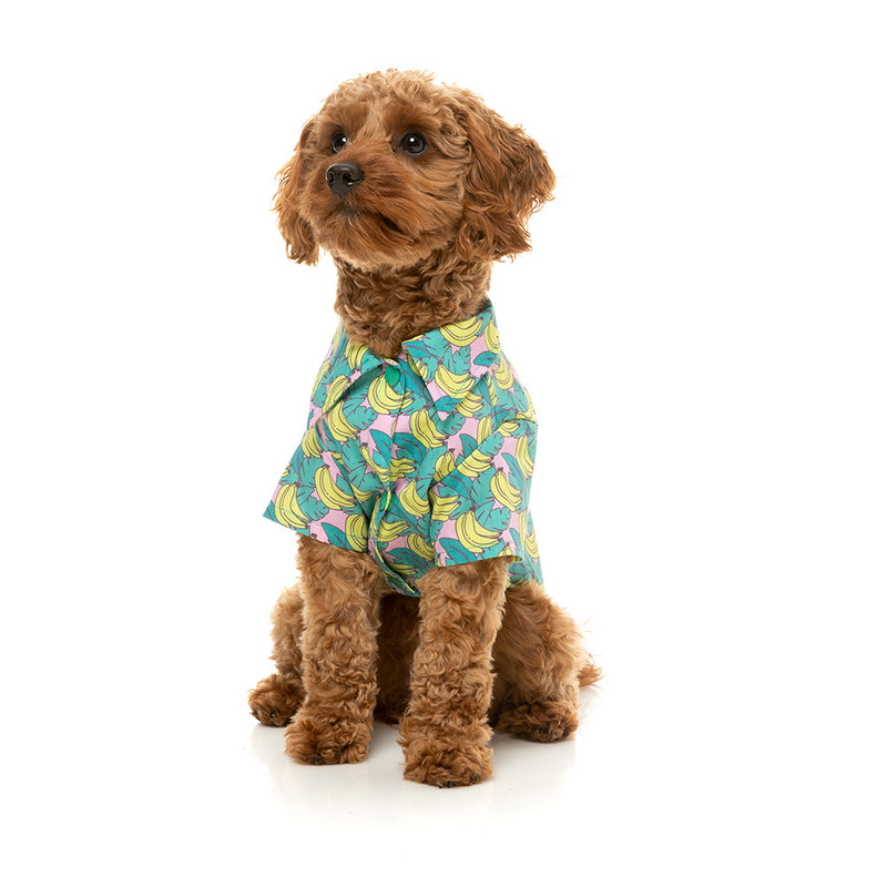 Fuzzyard Dog Button Up Shirt - Bananarama Size 3