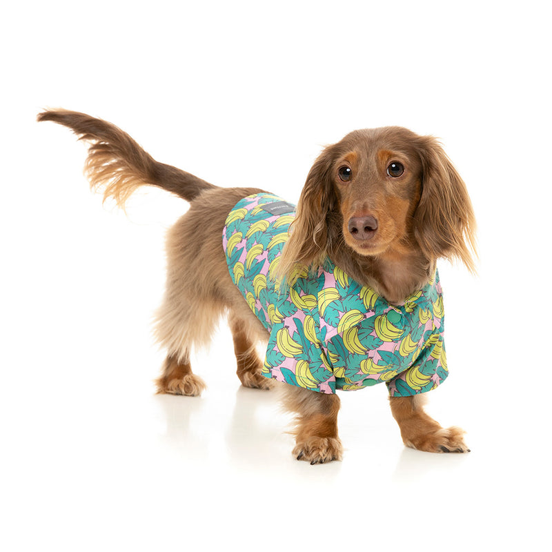 Fuzzyard Dog Button Up Shirt - Bananarama Size 7