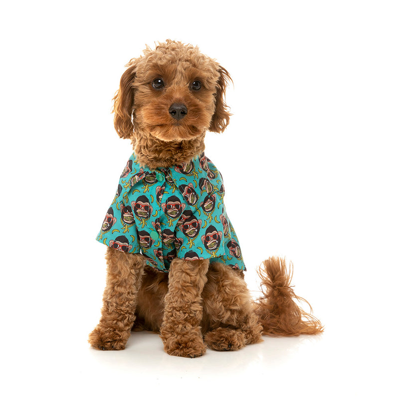 Fuzzyard Dog Button Up Shirt - Gor-Illz Size 7