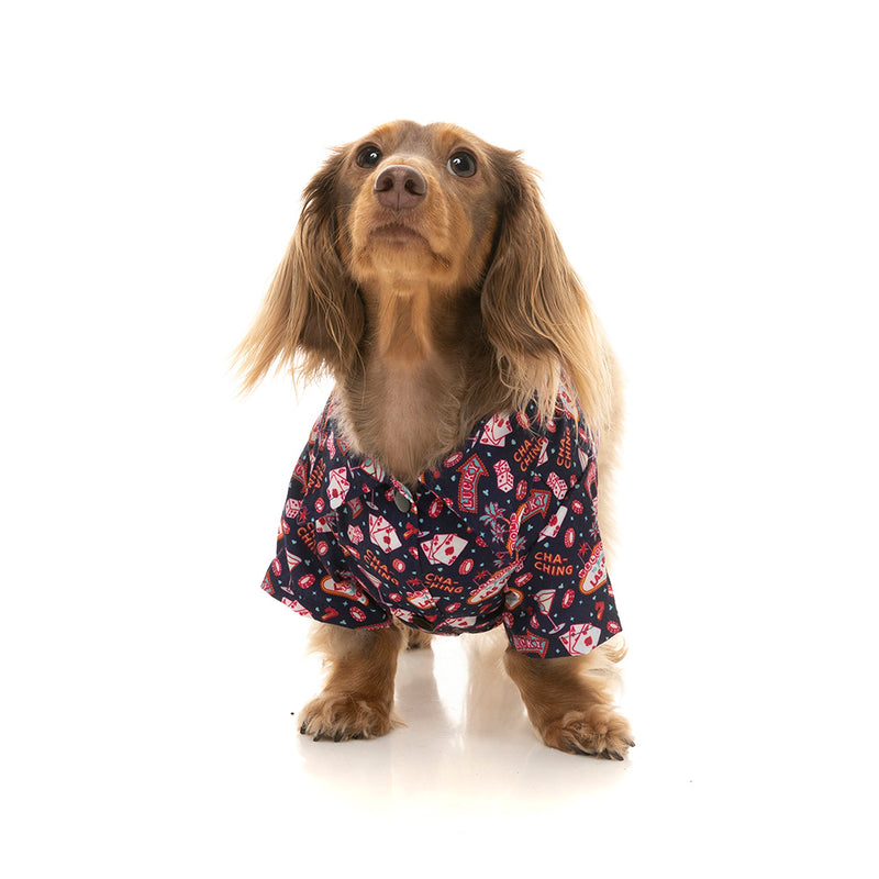 Fuzzyard Dog Button Up Shirt - Jackpup Size 5
