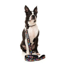 Fuzzyard Dog Lead Bed Bugs L 2.5cm x 140cm