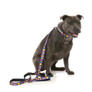 Fuzzyard Dog Lead Highscore S 1.5cm x 120cm