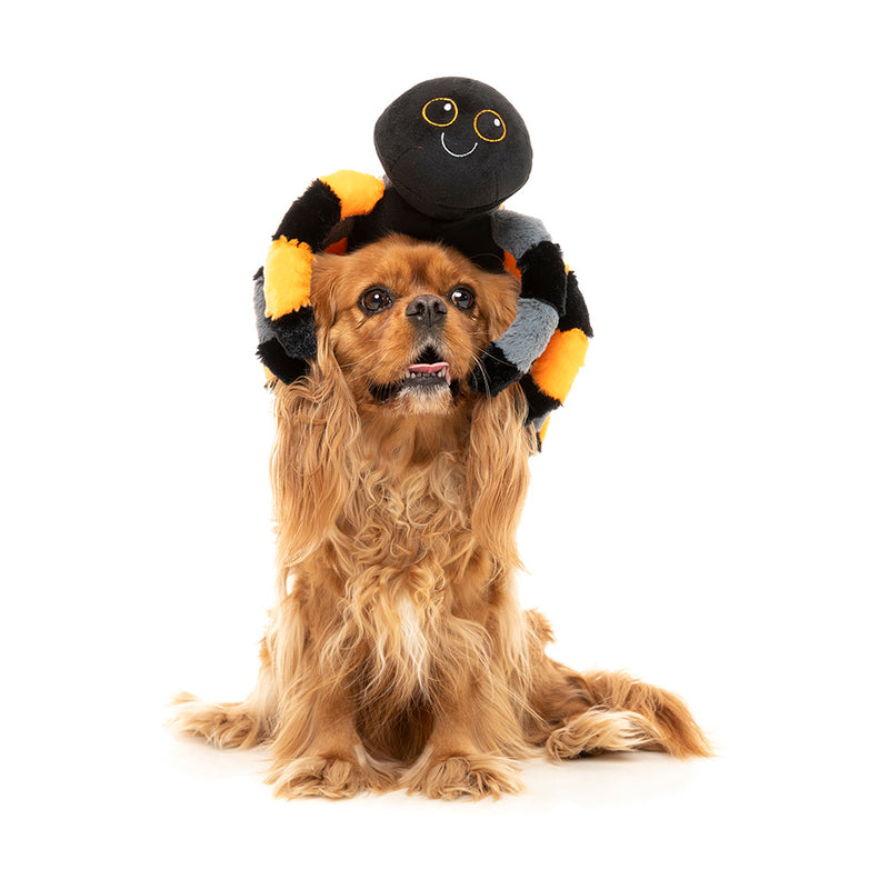 Fuzzyard Dog Plush Toy Halloween - Terri Tarantula