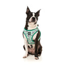 Fuzzyard Dog Step In Harness Dreamtime Koalas XXS