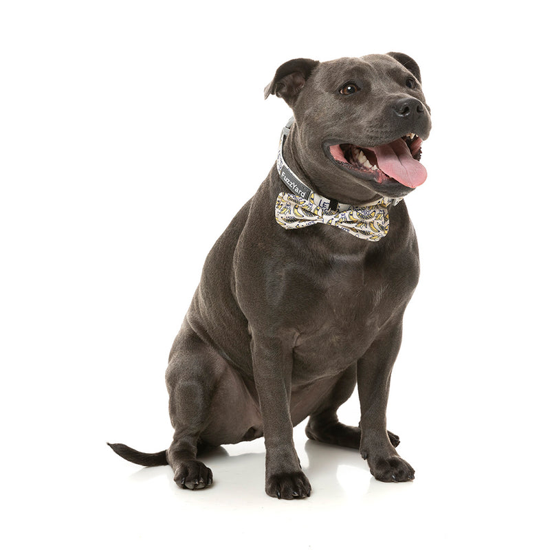 Fuzzyard Pet Bowtie Go Bananas S