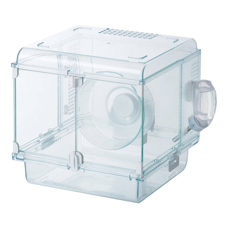 GEX Glass Harmony 250cube