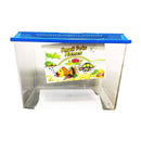 Guppy Small Pets Homes
