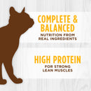 Instinct The Raw Brand Cat Original Grain-Free Pate Real Chicken Recipe 5.5oz