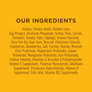 Instinct The Raw Brand Cat Original Grain-Free Pate Real Chicken Recipe 5.5oz