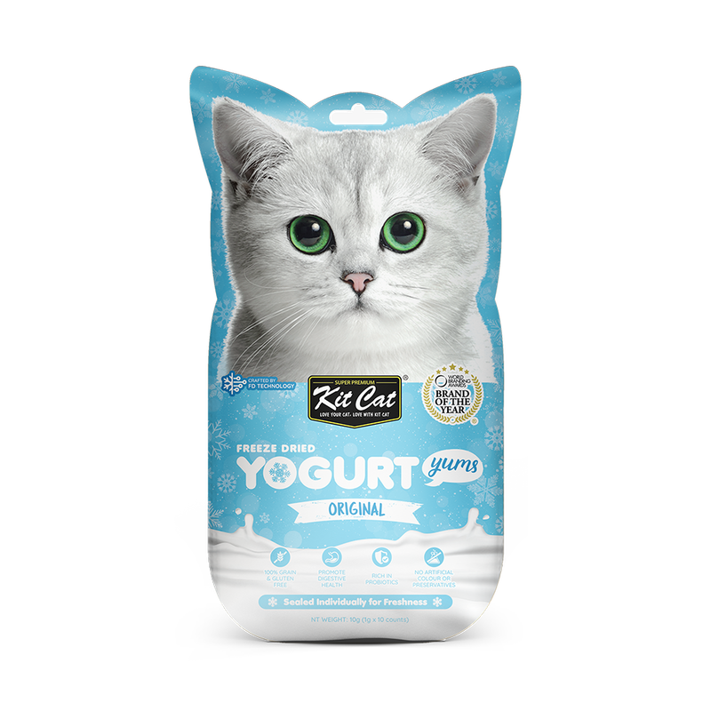 Cat online loves yogurt