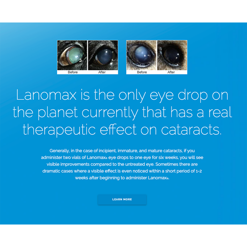 Lanomax Cataract-Dissolving Lanosteral Eye Drops for Pets & Animals 10ml