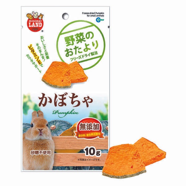 Marukan Freeze-Dried Pumpkin for Small Animals 10g (ML-87)