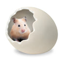 Marukan Egg Shape House for Hamsters M (ML337)